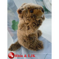 Squirrel juguetes Bouffée d&#39;ânes en peluche